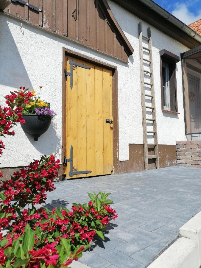 Villa Harzhaus Ida Elbingerode  Exterior foto
