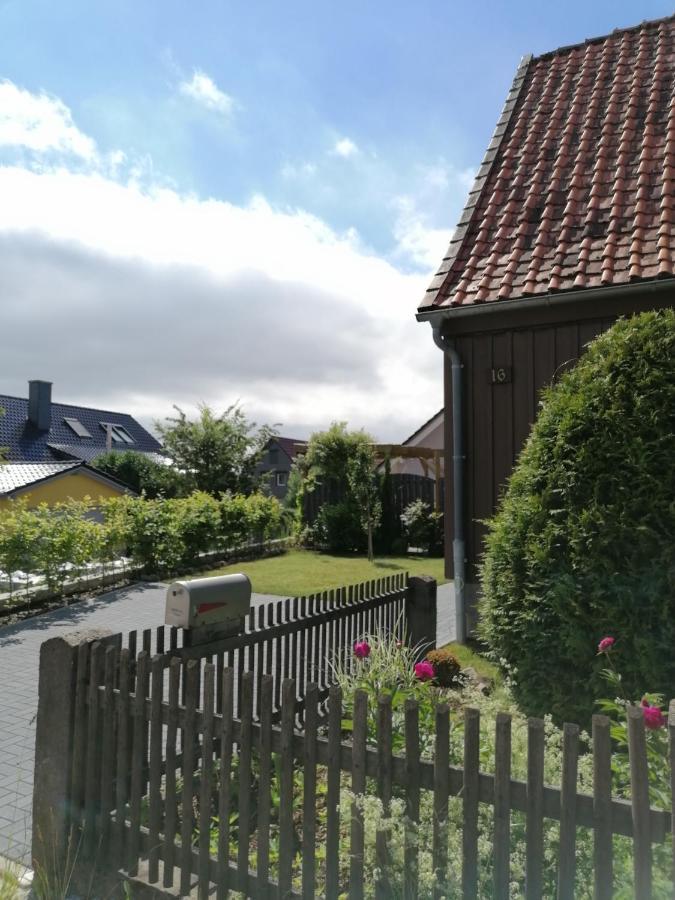 Villa Harzhaus Ida Elbingerode  Exterior foto